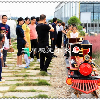 騎跨式網(wǎng)紅觀光小火車