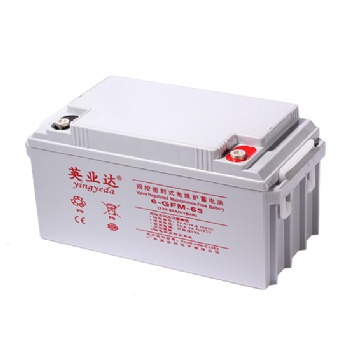 英業(yè)達蓄電池6-GFM-100免維護廠家**12V100AH