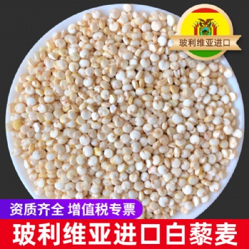 藜麥東莞批發(fā)商出售進口白藜麥