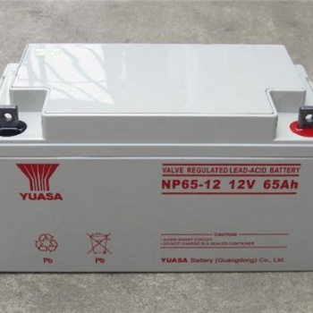 YUASA湯淺蓄電池NP65-12 12V6**H免維護UPS應急電源