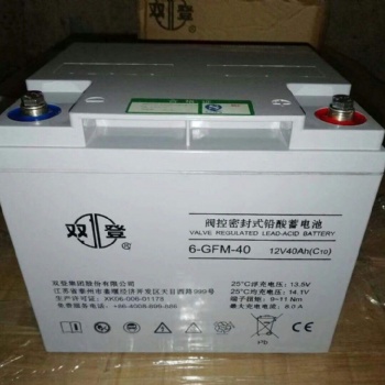 雙登蓄電池6-GFM-40 12V40AH 應急電源鉛酸蓄電池