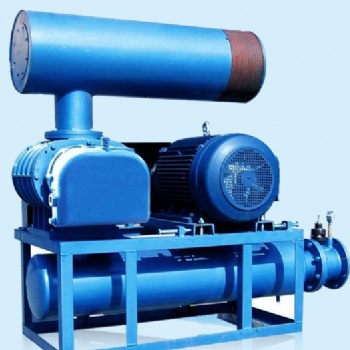 NRSR80羅茨風(fēng)機(jī)