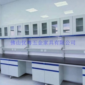 順德實驗臺不銹鋼實驗室家具定制全鋼通風柜全鋼實驗臺廠家