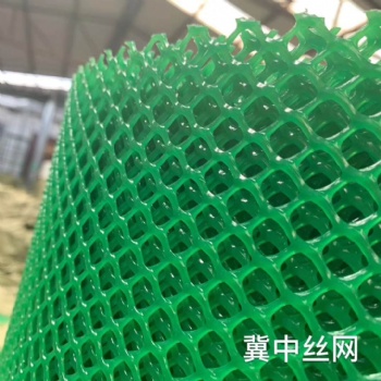冀中塑料平網 電焊網 土工格柵 圈玉米網 圈雞鴨網