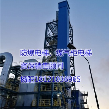 供應湖北省黃岡市羅田縣防爆電梯、煤氣柜電梯