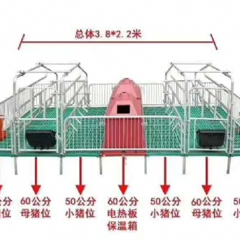 母豬雙體產床 熱鍍鋅產床 復合雙體母豬產床