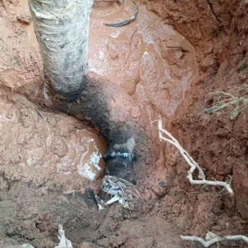 探測深圳各地區水管漏水，小區水管漏水探測，管道漏水維修