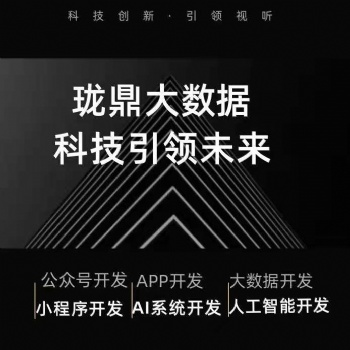 電商系統開發，商城程序開發