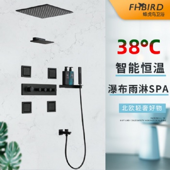 蜂虎鳥暗裝恒溫嵌入式花灑黑色吸頂帶燈天幕雨淋瀑布花灑淋浴套裝