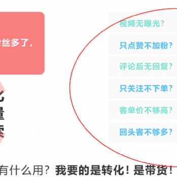 精量智能短視頻詢盤獲客軟件 副業賺錢好助手