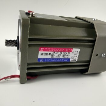 廈門東歷5RK120GN-S2三相異步電動機