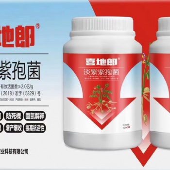 蔬菜防治根結(jié)線蟲(chóng)用喜地郎淡紫紫孢菌