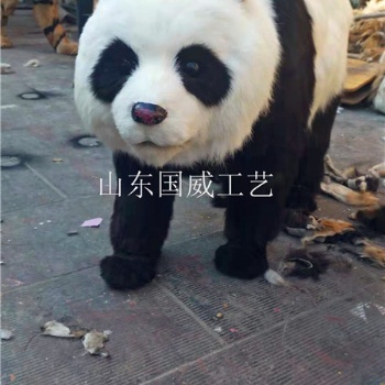 展示仿真大熊貓模型仿真大熊貓標本