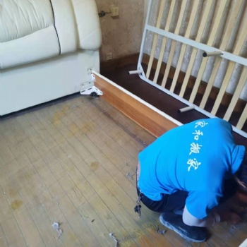 織里妙西搬家搬運電話