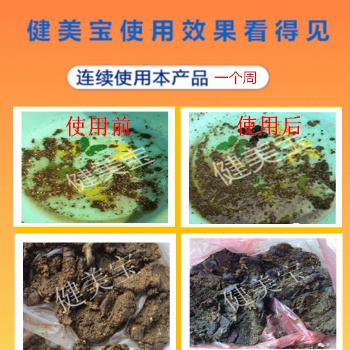 牛羊養殖技術|牛羊催肥過料損失，一算嚇一跳