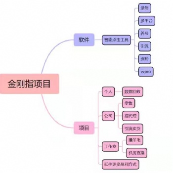 金指拓客助力短視頻運營 快速變現