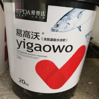 荔枝生根膨果抗寒用氨基酸魚(yú)蛋白肥