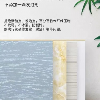 美佳匯集成墻板全屋整裝，時(shí)尚**演繹宜居新體驗(yàn)