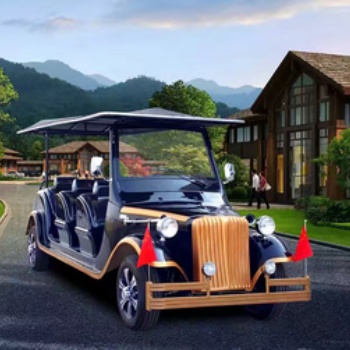 陜西西安邁得電動車8座迎賓款電動老爺車看房車