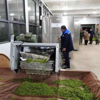 綠茶殺青機(jī)采用多層微波殺青設(shè)備的優(yōu)勢(shì)