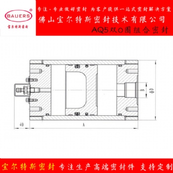 活塞式蓄能器密封圈油氣分離密封BAQ5油封