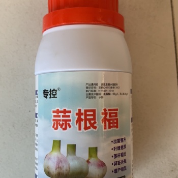 大蒜增產好肥料，蒜根福，用三遍增產明顯看的見