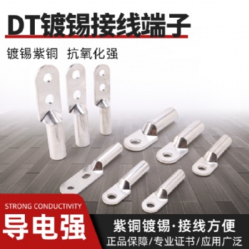 紫銅接線端子銅鼻子連接頭