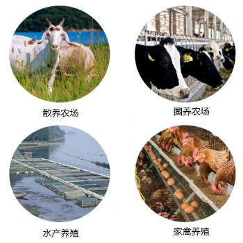 合肥智慧畜牧管理傳統畜牧養殖智能化升級解決方案