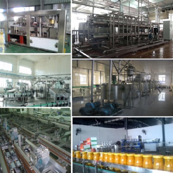 中意隆 整套胡蘿卜汁飲料加工設備 全自動果蔬汁生產線設備 歡迎咨詢