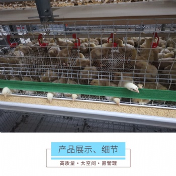 雞籠鴨籠籠養設備養殖機械肉雞雞籠山東金石農牧機械