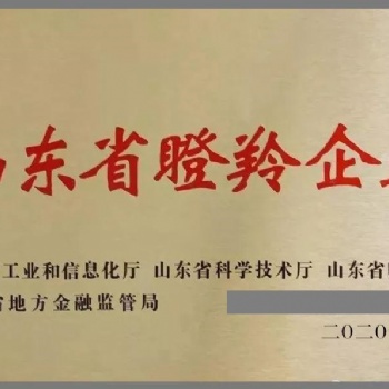 濟寧申報瞪羚獨角獸企業的具體條件是什么
