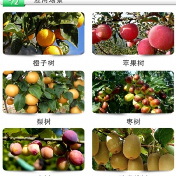 園林修剪專用電動修枝剪