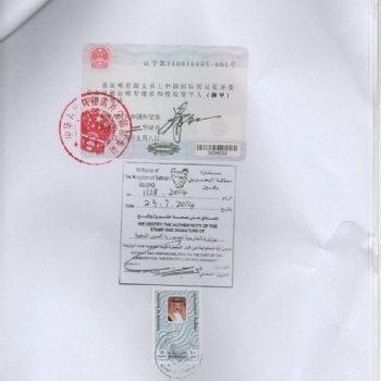 自由銷售證書CFS巴林大使館認證蓋章