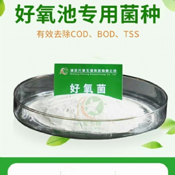 生化池運營微生物菌種好氧菌