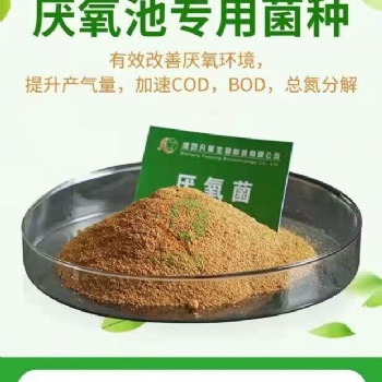 生化池運營微生物厭氧菌