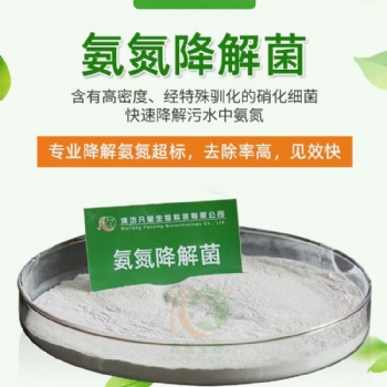 生化池運營微生物氨氮降解菌