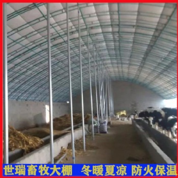 搭建養牛大棚 鋼架養牛棚 肉牛養殖棚建設