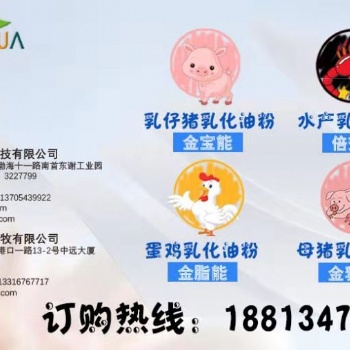 金寶能乳仔豬專用乳化油粉
