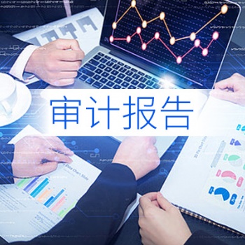 **登記/稅務申報/驗資報告/一般納稅人