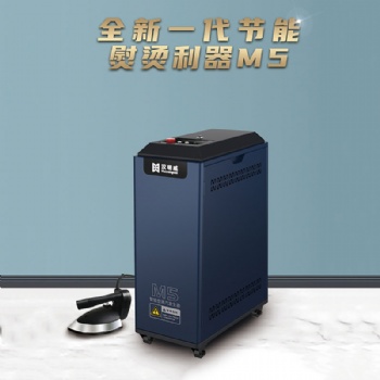漢明威M5節能型蒸汽發生器服裝廠用熨燙一體機小型電鍋爐設備