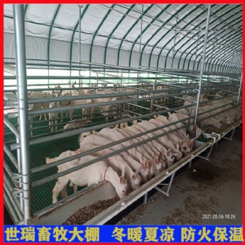 養(yǎng)羊大棚生產(chǎn)安裝 養(yǎng)羊棚施工設(shè)計(jì) 羊舍搭建廠家
