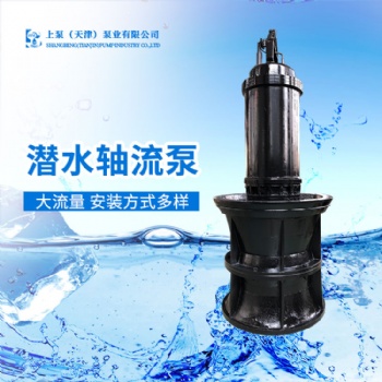 湛江大流量潛水軸流泵