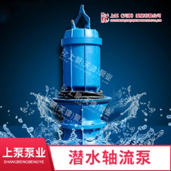 長沙大功率潛水軸流泵防汛抗旱用泵