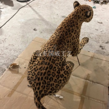 室內(nèi)展覽仿真金錢豹模型博物館展示仿真金錢豹標(biāo)本