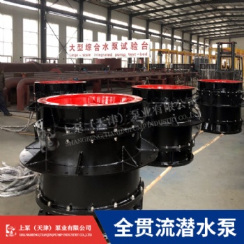 江蘇珠海900QGWZ-70大流量雙向排水全貫流潛水電泵