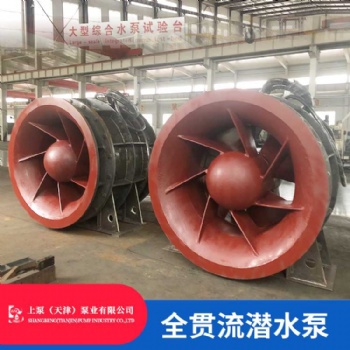 浙江嘉興800QGWZ-70J大流量雙向排水全貫流潛水電泵
