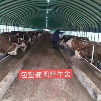 橢圓管大棚，日光溫室大棚，蔬菜大棚，養牛大棚
