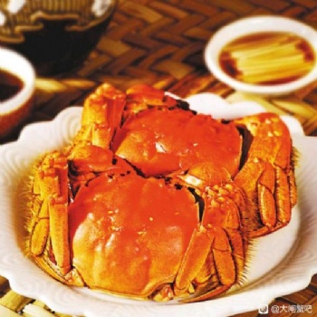洪澤湖大閘蟹價格 大閘蟹批發 大閘蟹