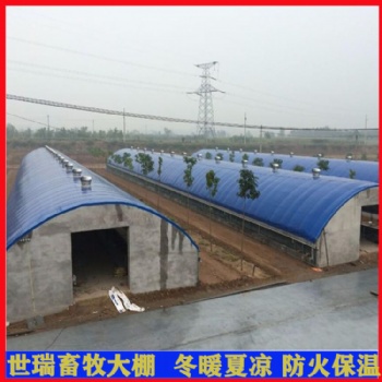 承接養(yǎng)牛棚建設(shè)工程 養(yǎng)牛場牛棚規(guī)劃 肉牛養(yǎng)殖棚施工安裝
