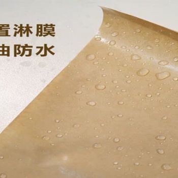 廠家 平張PE淋膜紙 單雙面 防水 防油 包裝紙 楷誠(chéng)紙業(yè)